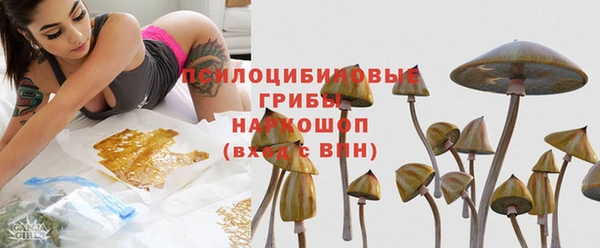 прущий лед Киренск