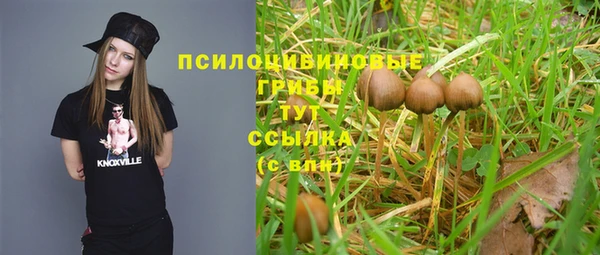 шишки Киреевск