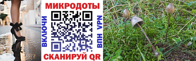 Псилоцибиновые грибы Psilocybine cubensis  Купить закладки  Дорогобуж 